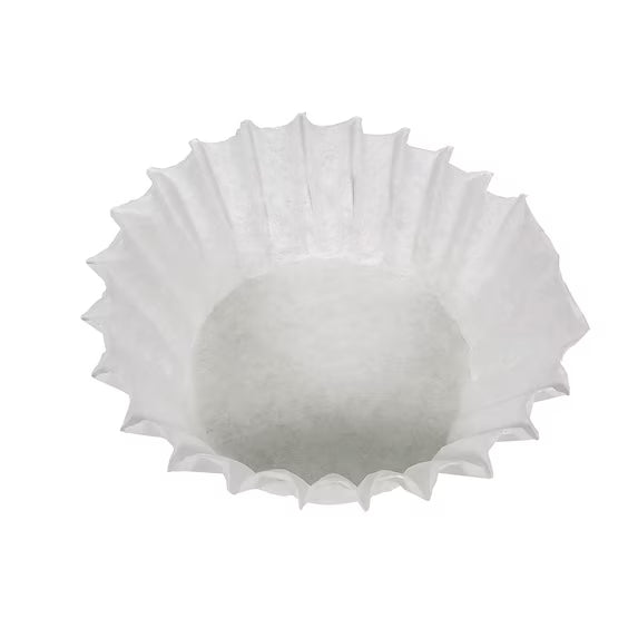 FILTER,  20115.0000 FILTER FOR VPR BUNN 1000/CS,  Case